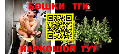 гашик Дубна