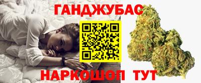 гашик Дубна